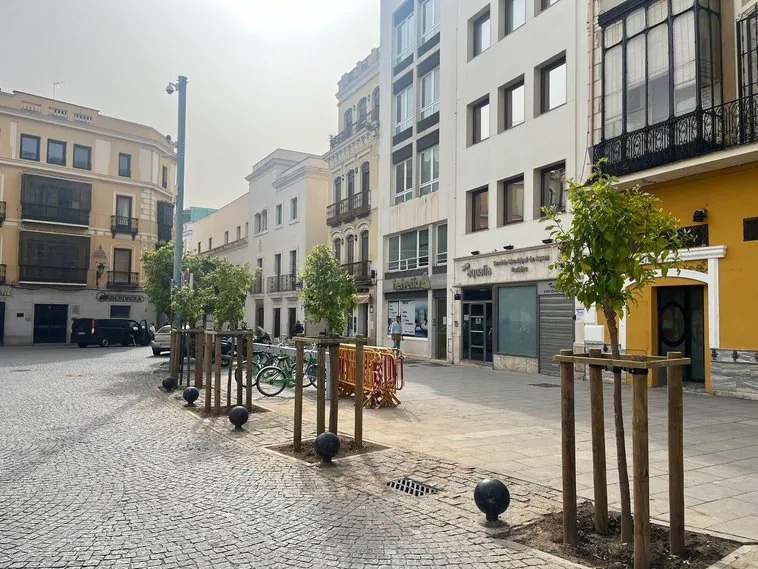 Badajoz tendrá 2.250 árboles más en sus calles a partir del próximo otoño